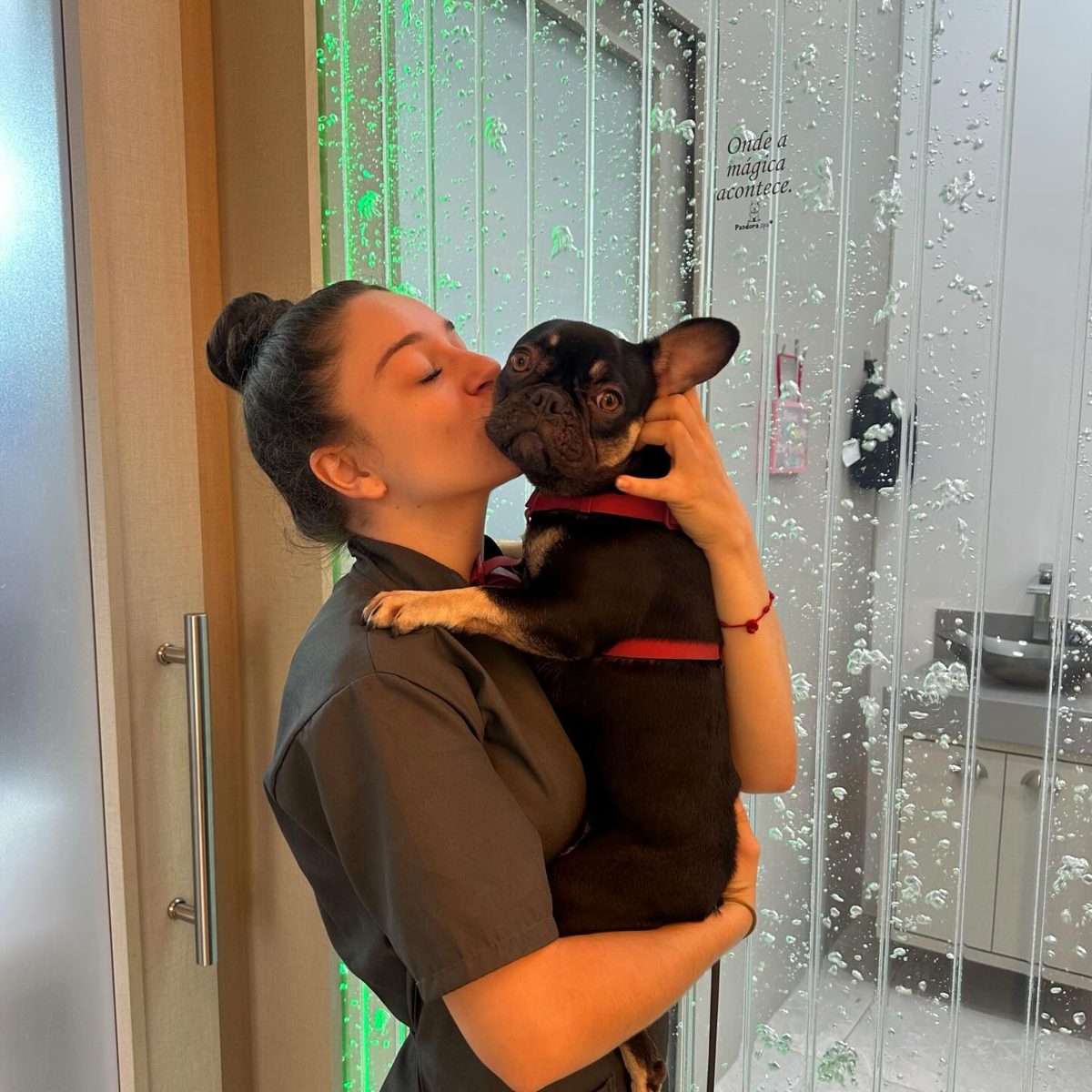 Atendimento carinhoso e low stress na Pandora Pet & Spa