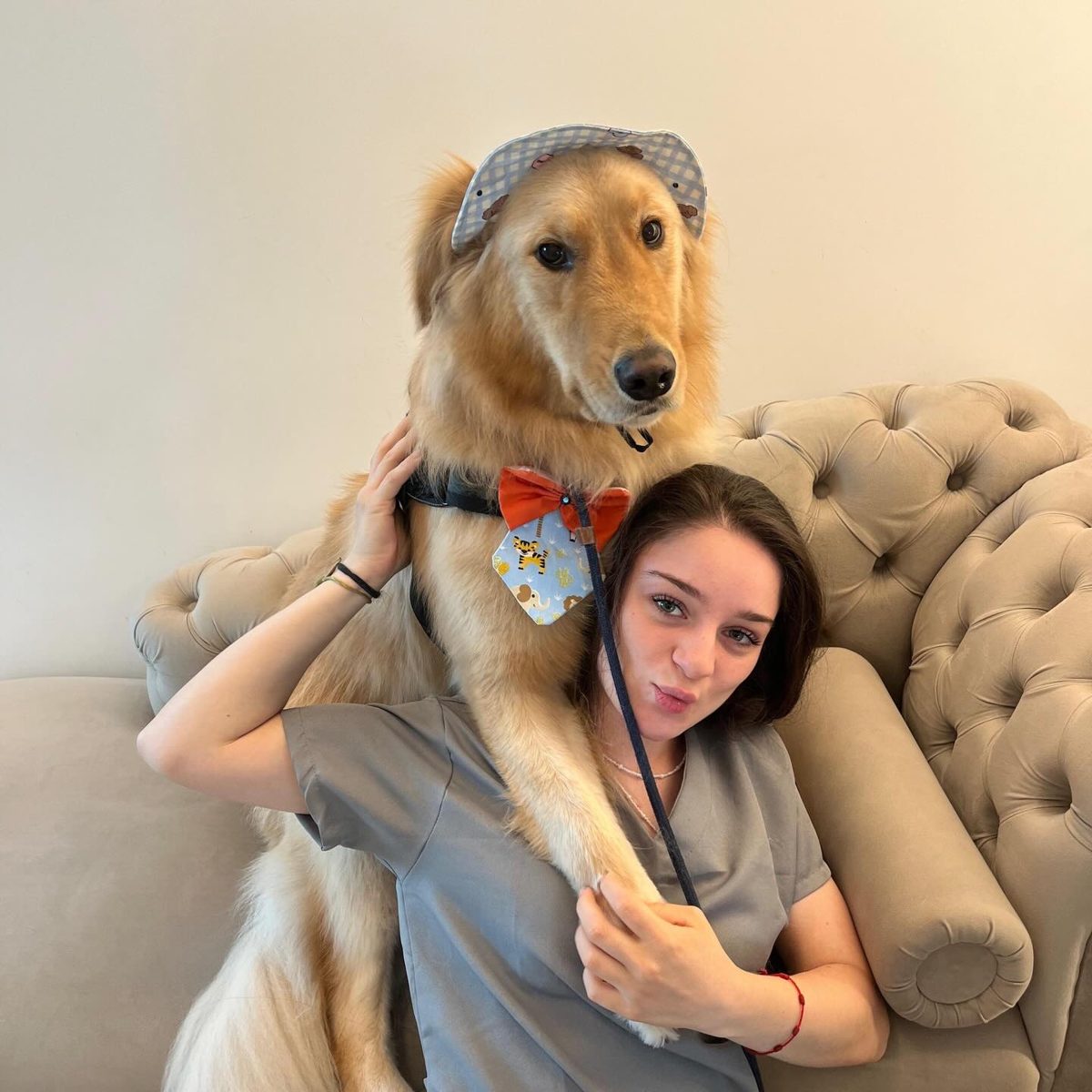 Golden retriever atendido na Pandora Pet & Spa